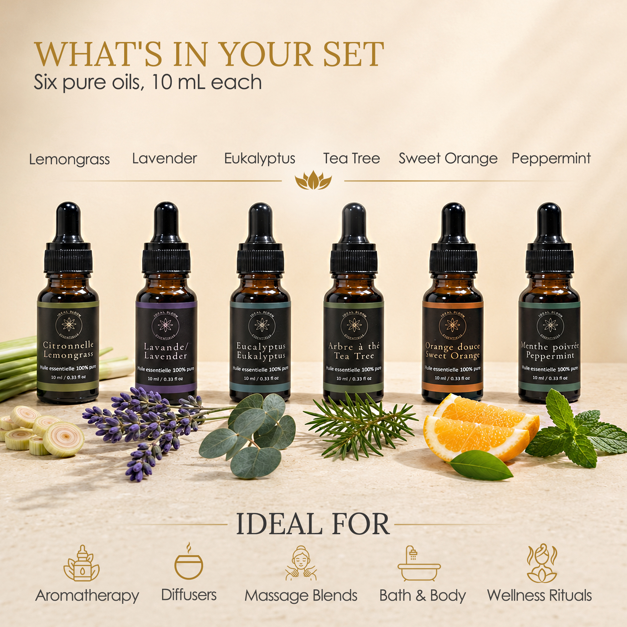 6 flacons de 10 ml
